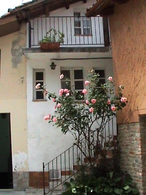 Belvedere Langhe B&B I Colori Dell'Arcobaleno מראה חיצוני תמונה